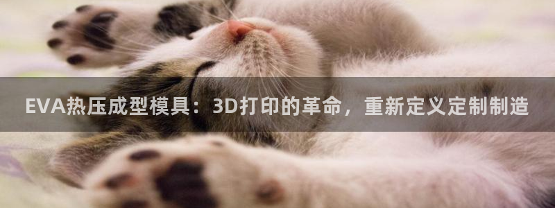 emc易倍官网登录入口