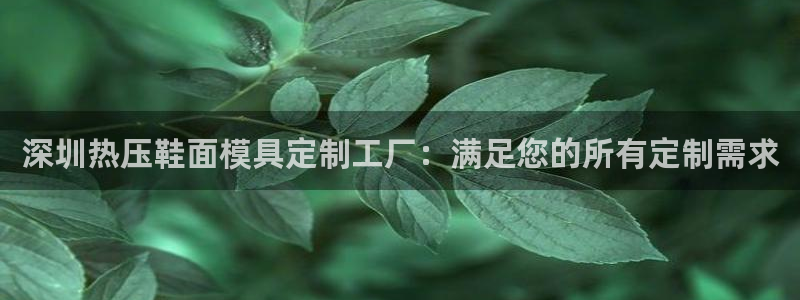 emc易倍电竞：深圳热压鞋面模具定制工厂：满足您的所有定