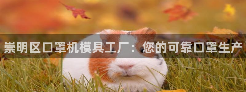 emc易倍官方下载