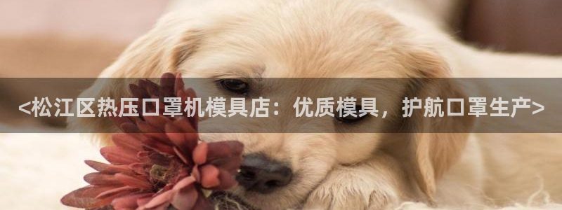 易倍全站