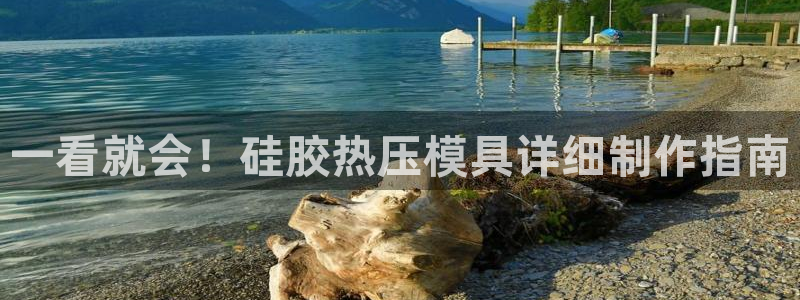 易倍达怎么样