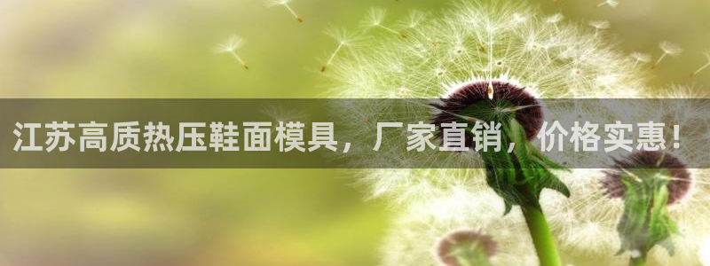 易倍达科技有限公司官网：江苏高质热压鞋面模具，厂家直销，