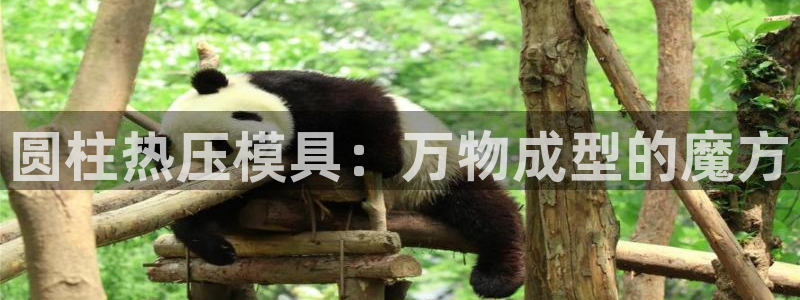 易倍申不良反应
