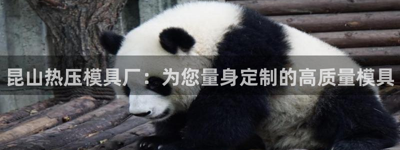 易倍申多少钱一盒：昆山热压模具厂：为您量身定制的高质量模