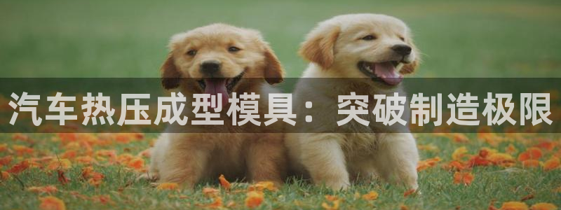 易倍纤多少钱