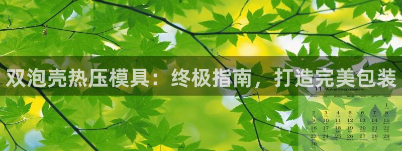 易倍app网站：双泡壳热压模具：终极指南，打造完美包装