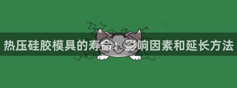 易倍达怎么样：热压硅胶模具的寿命：影响因素和延长方法