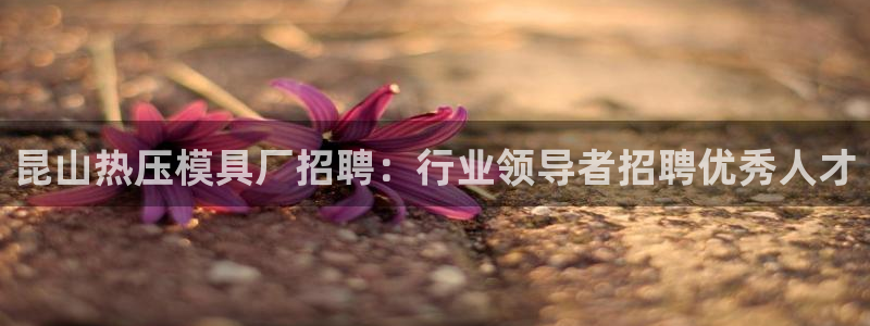 Emc易赔体育：昆山热压模具厂招聘：行业领导者招聘优秀人