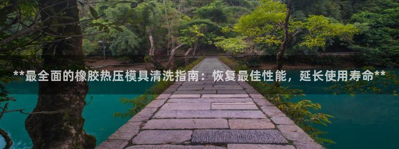 易倍网页版登录：**最全面的橡胶热压模具清洗指南：恢复最