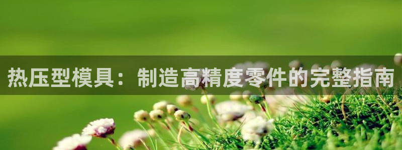 北京易倍思教育科技有限公司：热压型模具：制造高精度零件的