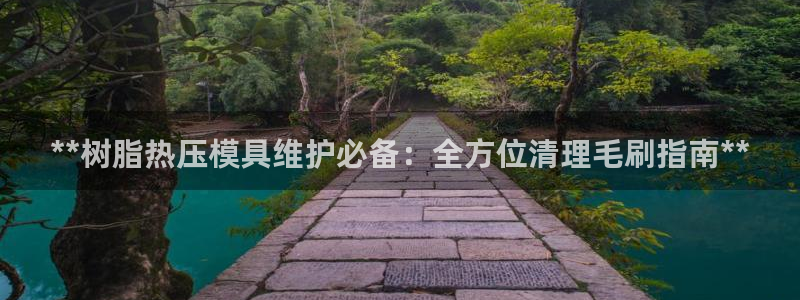 emc易倍下载：**树脂热压模具维护必备：全方位清理毛刷