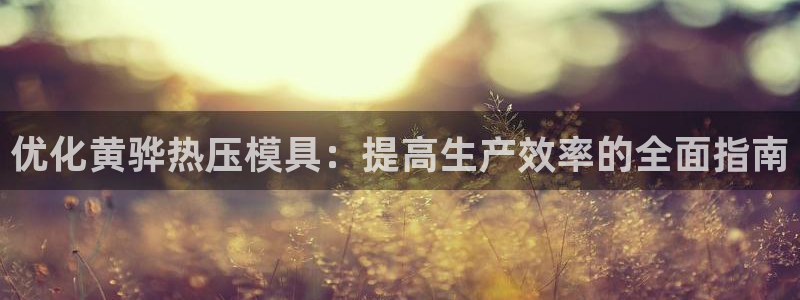 易倍下载：优化黄骅热压模具：提高生产效率的全面指南