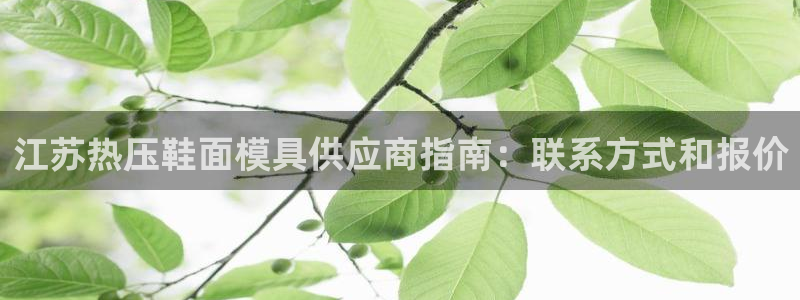 易倍单词app：江苏热压鞋面模具供应商指南：联系方式和报