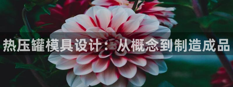 易倍申有用吗