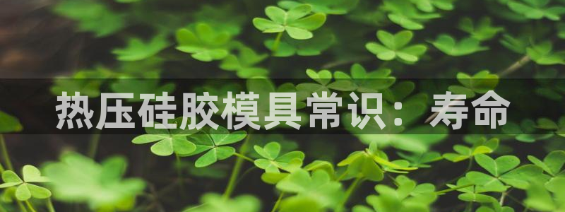 易倍申多少钱一盒