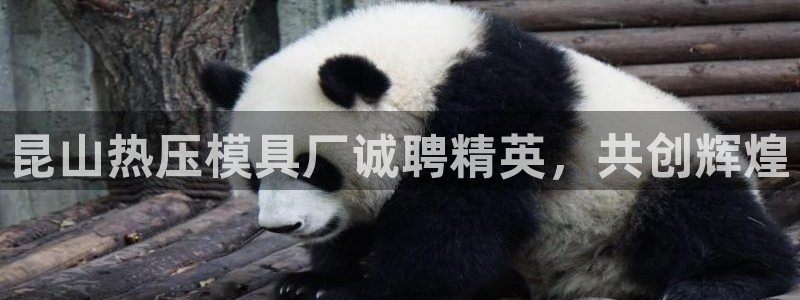 易倍单词官网下载：昆山热压模具厂诚聘精英，共创辉煌