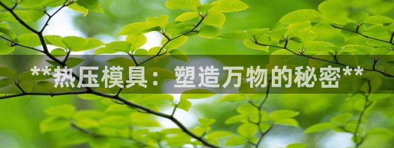 易倍申多少钱
