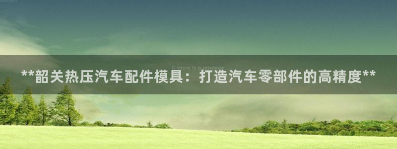 北京易倍思教育怎么样：**韶关热压汽车配件模具：打造汽车