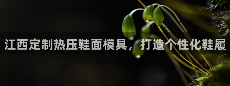 emc易倍官方平台