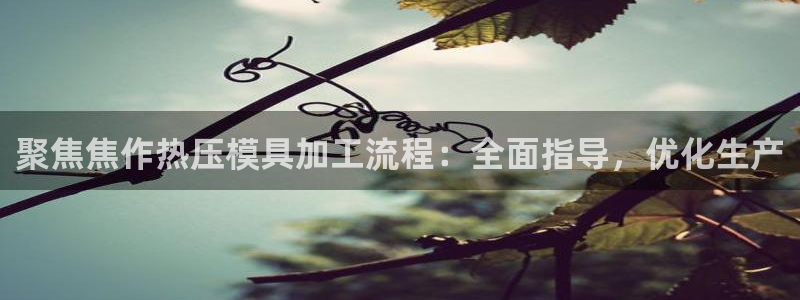 杭州易倍达：聚焦焦作热压模具加工流程：全面指导，优化生产