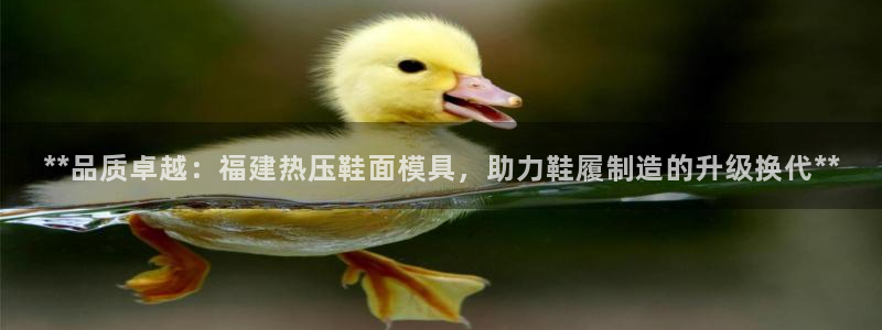 emc低频：**品质卓越：福建热压鞋面模具，助力鞋履制造