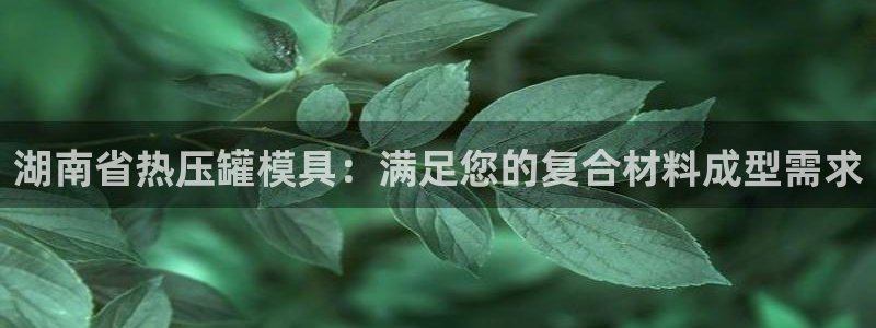 易倍网络技术有限公司是干嘛的