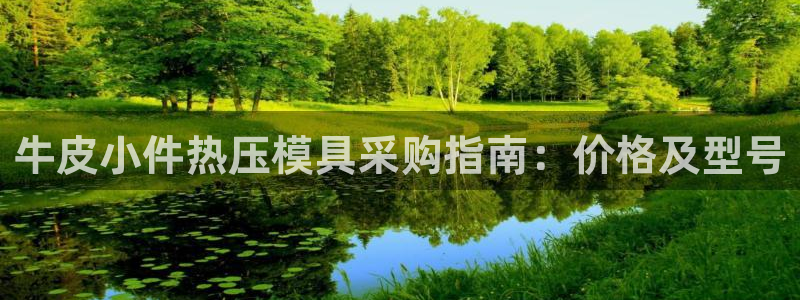 易倍申的价格