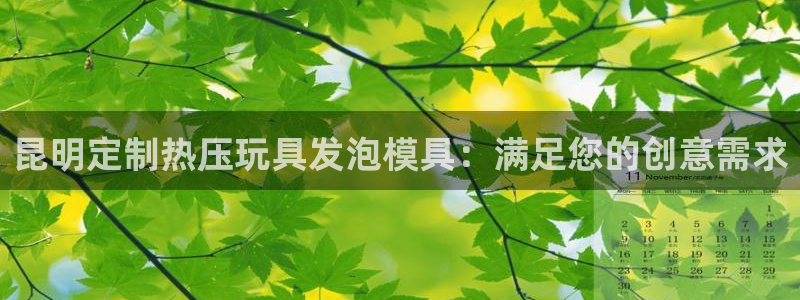 emc低频不过