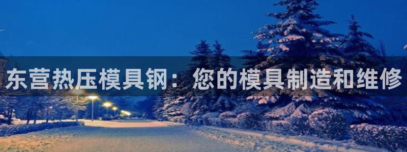 易倍纤代餐奶昔怎么样：东营热压模具钢：您的模具制造和维修