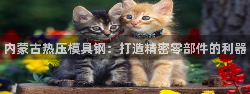 emc参数