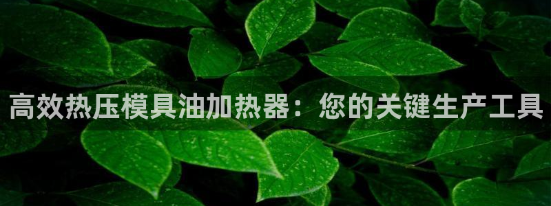 emc全站网页版