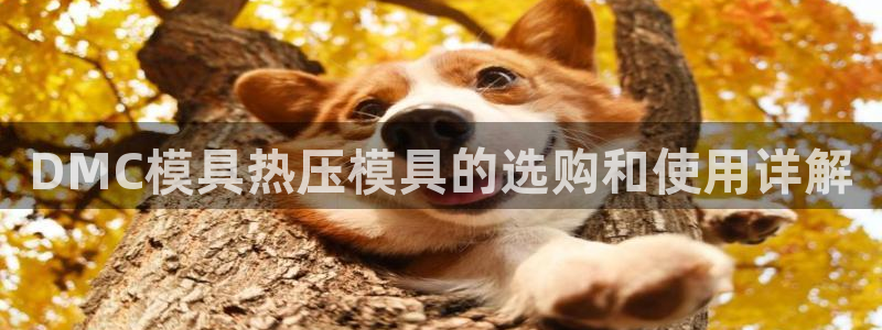 emc全站下载