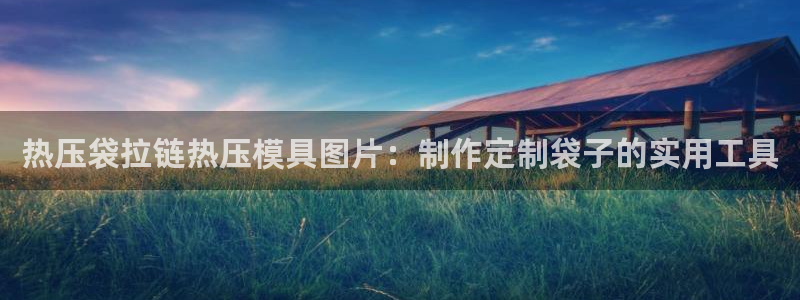 易倍英语官方网站登录：热压袋拉链热压模具图片：制作定制袋