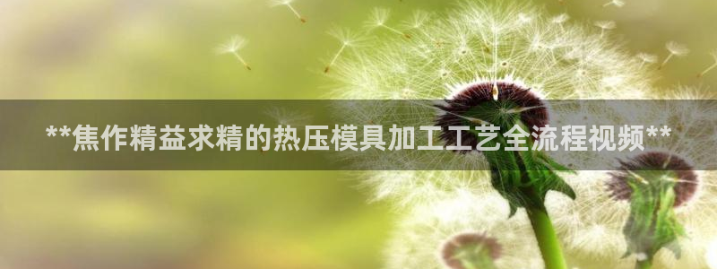 易倍申片能长期服用吗：**焦作精益求精的热压模具加工工艺