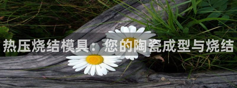 emc易倍在线登录