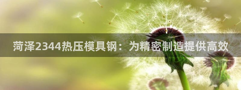易倍申能长期吃吗：菏泽2344热压模具钢：为精密制造提供