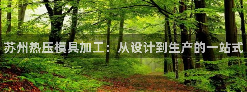 易倍申价格是多少：苏州热压模具加工：从设计到生产的一站式