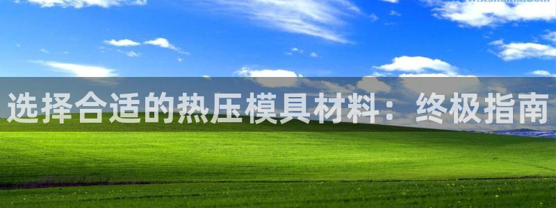 易倍单词平台：选择合适的热压模具材料：终极指南