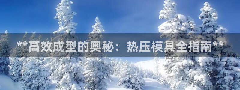 易倍网络技术有限公司怎么样：**高效成型的奥秘：热压模具