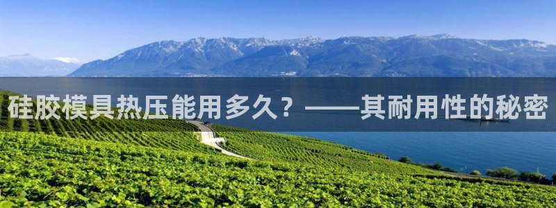 emc易倍官方平：硅胶模具热压能用多久？——其耐用性的秘