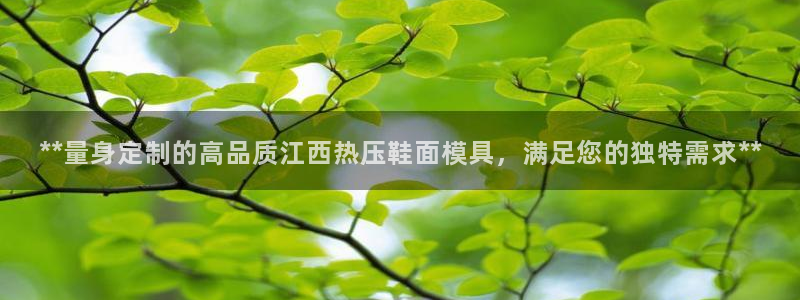 emc易倍官方：**量身定制的高品质江西热压鞋面模具，满