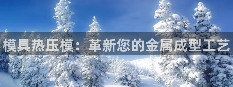 易倍申生产厂家：模具热压模：革新您的金属成型工艺