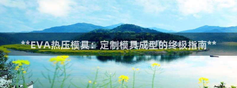 南京易倍易电子科技有限公司：**EVA热压模具：定制模具