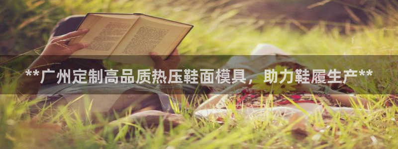 易倍易倍单词官方网站：**广州定制高品质热压鞋面模具，助