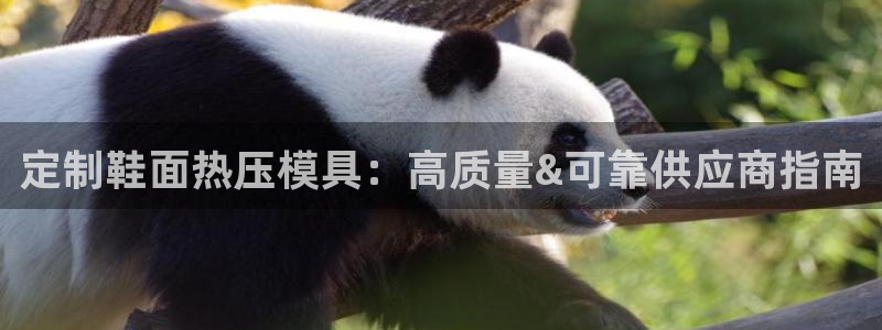 emc易倍官网app下载