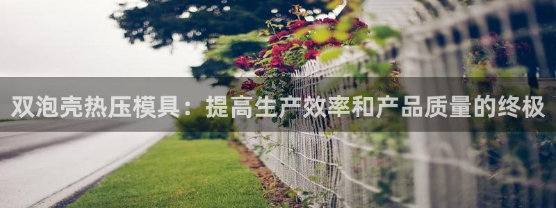 低频的emc用什么滤波：双泡壳热压模具：提高生产效率和产