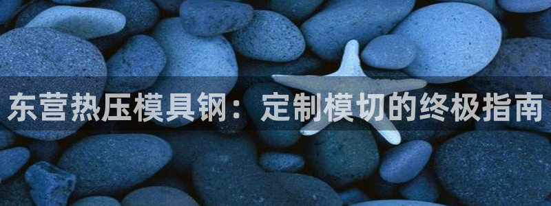 南京易倍易电子科技有限公司：东营热压模具钢：定制模切的终