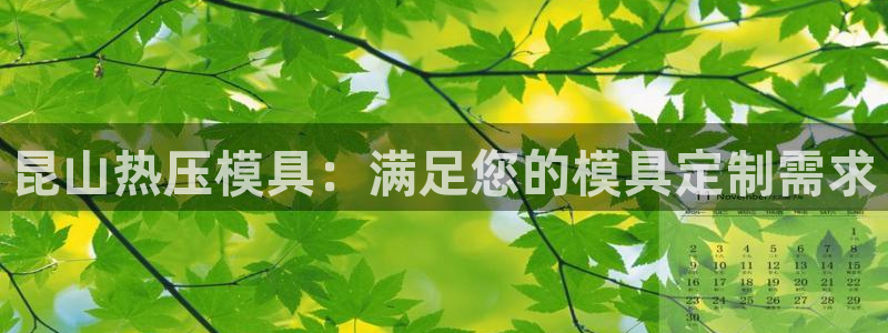 易倍单词软件