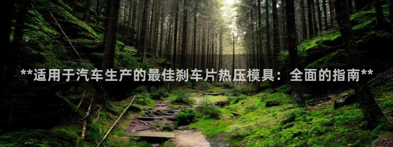 易倍网页版登录：**适用于汽车生产的最佳刹车片热压模具：