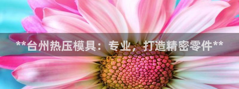 emc易倍官方平：**台州热压模具：专业，打造精密零件*